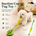 Interactive Squeaky Dog Tug Toy
