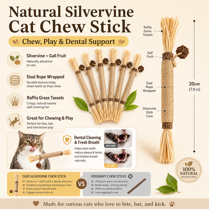 Natural Silvervine Dental Chew Stick for Cats 10pcs