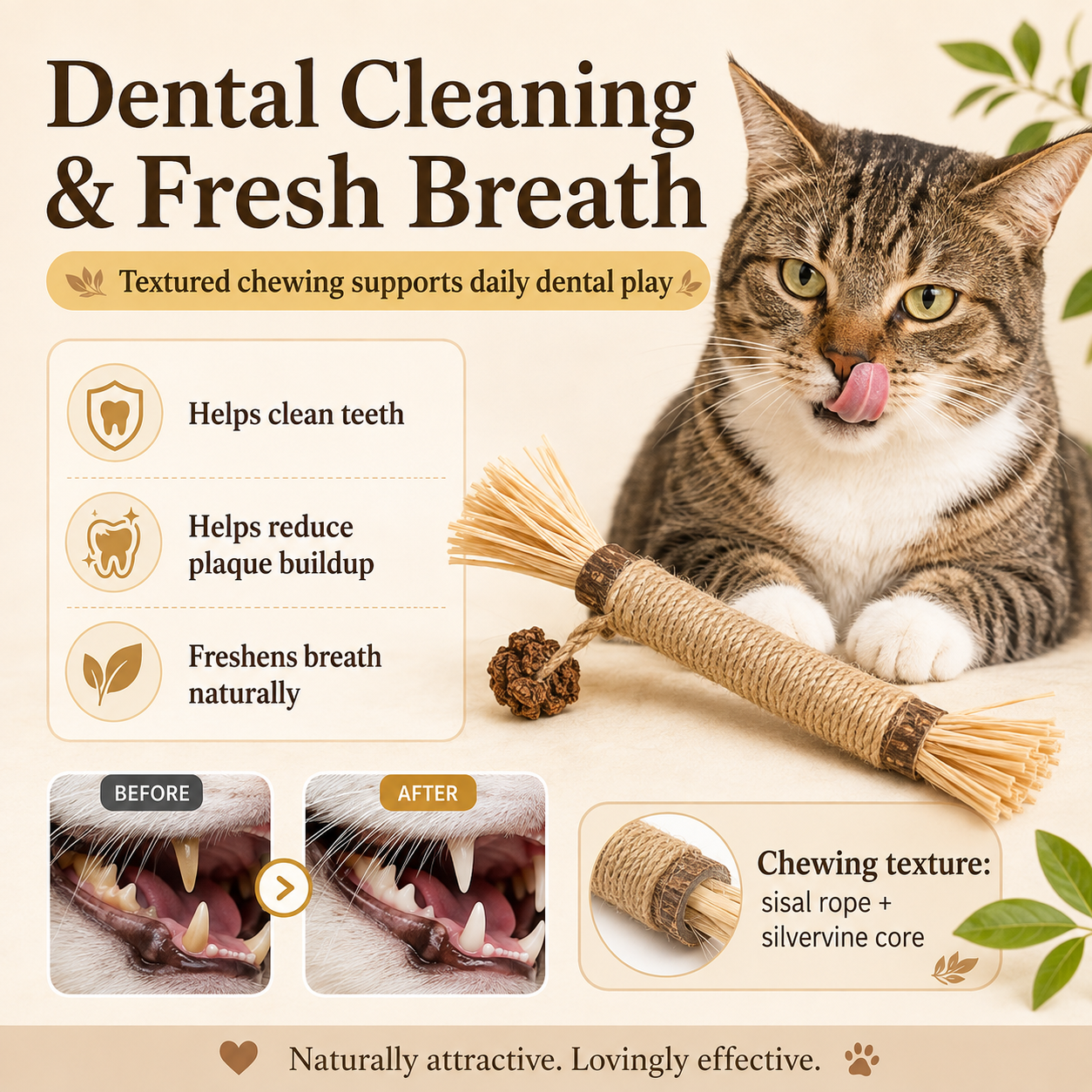 Natural Silvervine Dental Chew Stick for Cats 10pcs