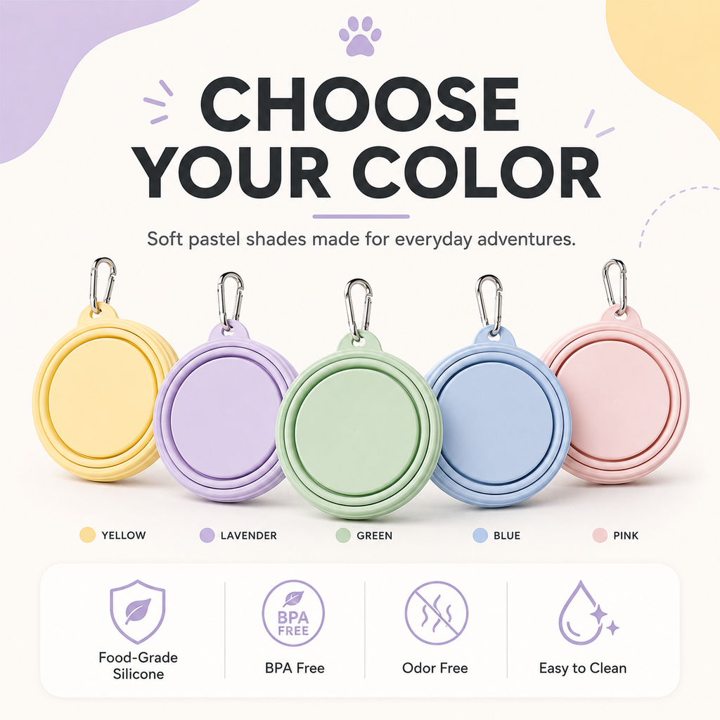 Collapsible Silicone Travel Bowl for Dogs &amp; Cats